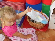 Zvířátkový den ve školce